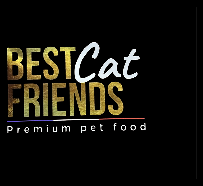 Best Cat Friends